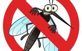 Dịch vụ diệt trừ & kiểm soát muỗi